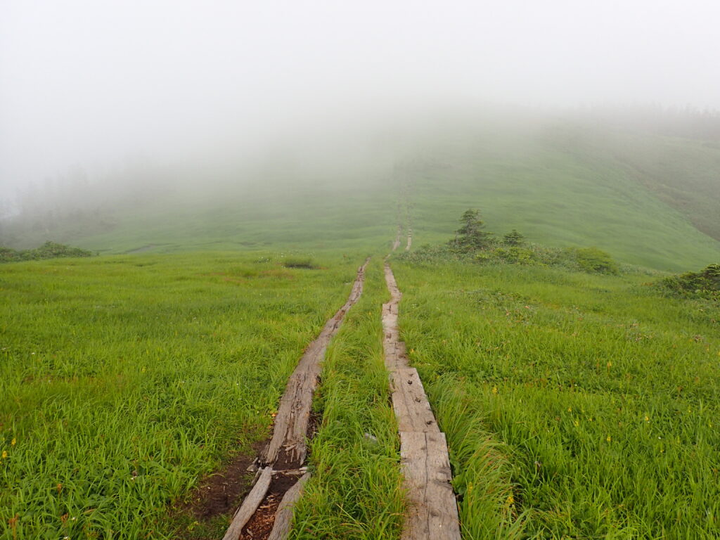 日本百名山の会津駒ヶ岳登山をした時に撮影した霧の中へと続く木道