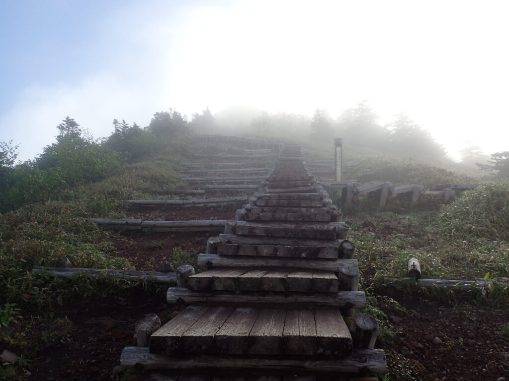 日本百名山の四阿山登山をした時に撮影した山頂へと続く木道