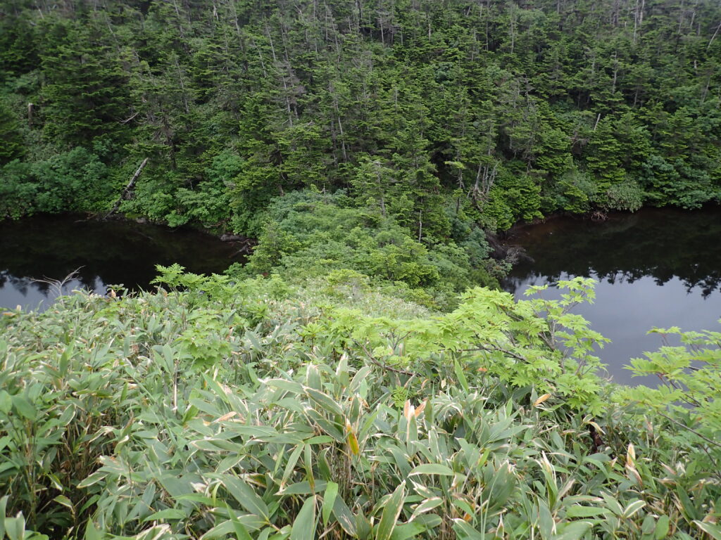 日本百名山の八幡平登山をした時に撮影した眼鏡沼