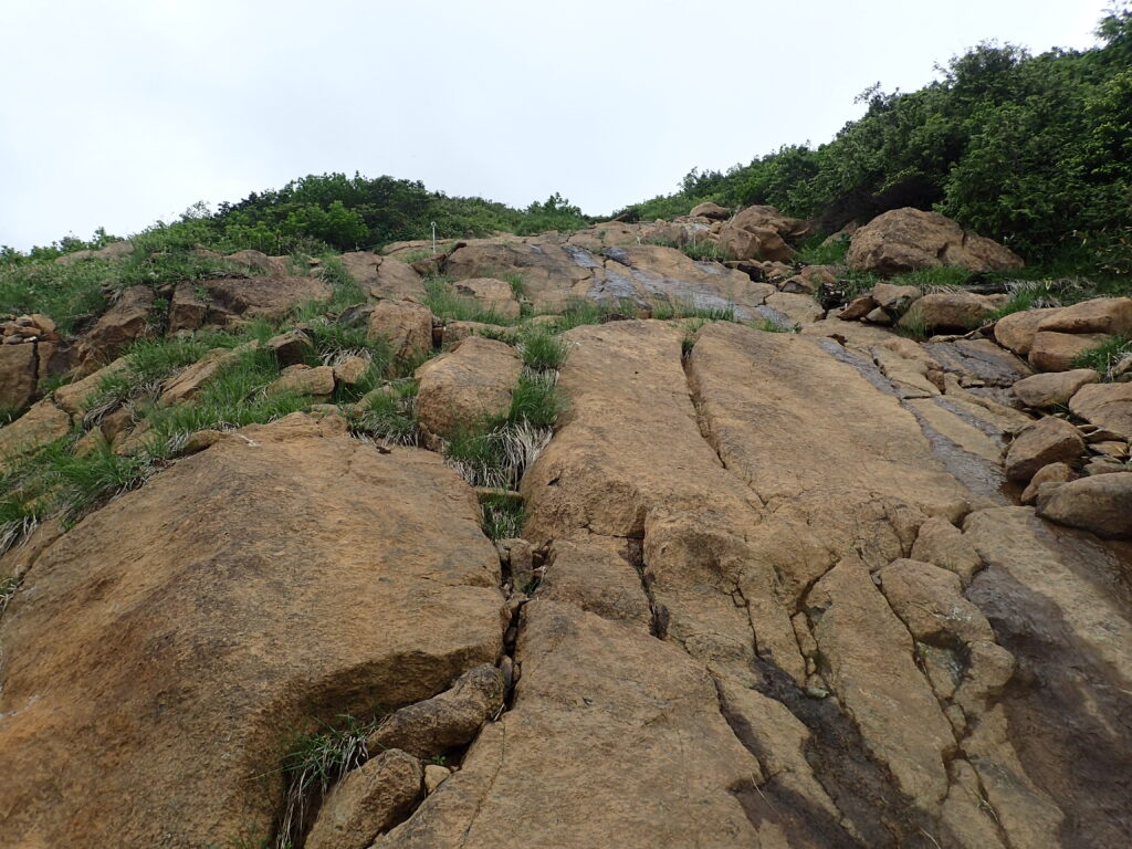 日本百名山の至仏山登山をした時に撮影をした蛇紋岩の登山道