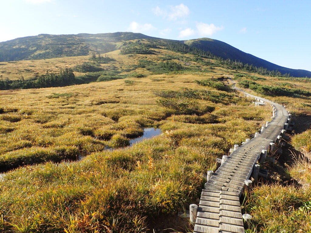 日本百名山の黒部五郎岳登山をした時に撮影した木道