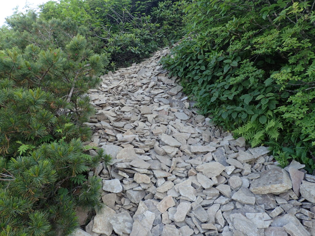 日本百名山の武尊山を登山した時に撮影した小石が積み重なった登山道