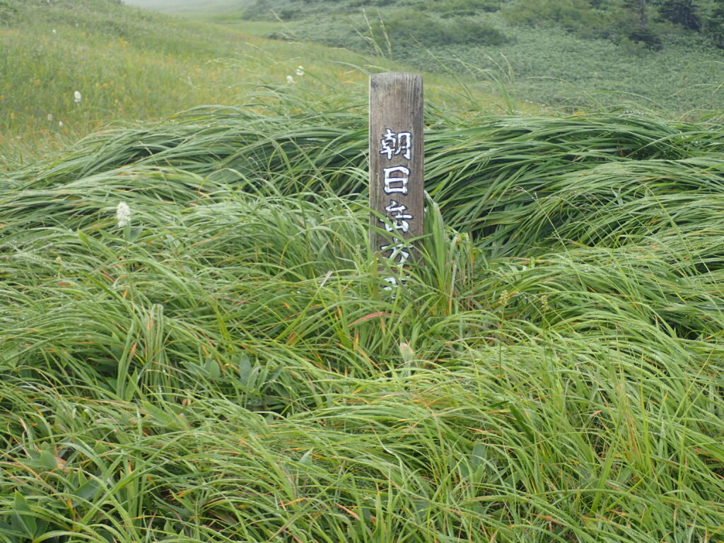 日本百名山の巻機山を登山した時に撮影した道標
