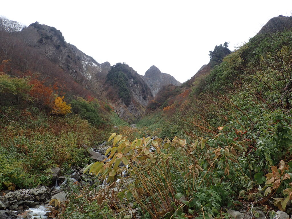 日本百名山の雨飾山を登山した時にオリンパスの防水デジタルカメラタフで撮影したピーク時には紅葉な見事な荒菅沢の付近