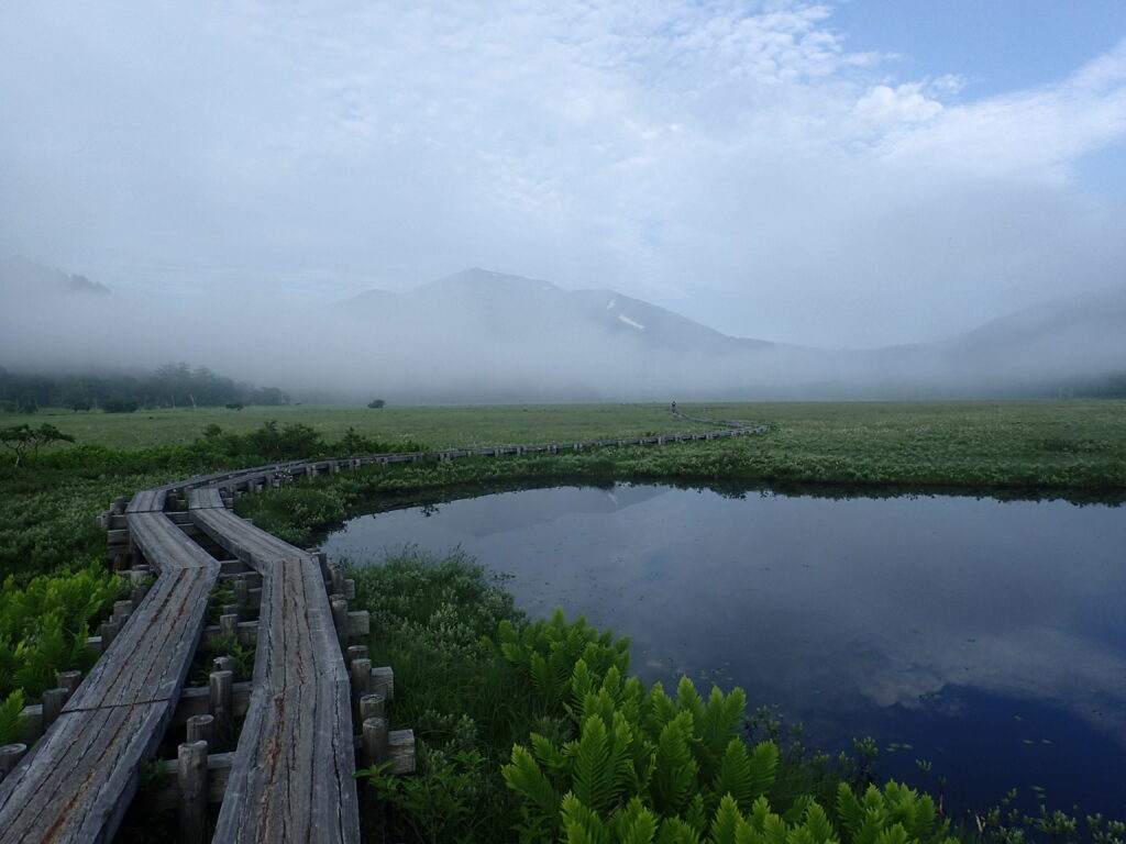 日本百名山の燧ヶ岳を登山した時にオリンパスの防水デジタルカメラタフで撮影した尾瀬ヶ原の木道
