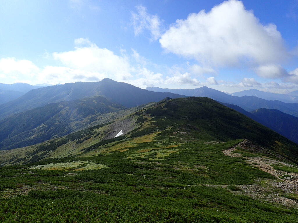 日本百名山で北アルプスの黒部五郎岳を登山した時に撮影したハイマツに覆われた登山道