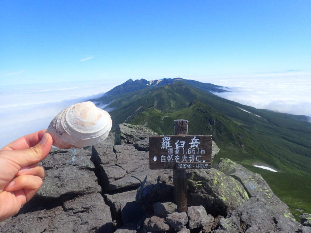 北海道にある日本百名山の羅臼岳を登山した時に撮影した山頂に落ちていた貝殻