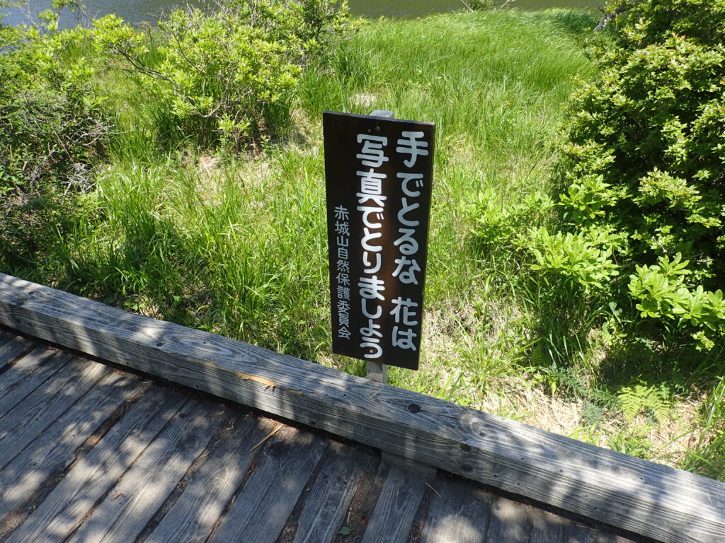 日本百名山の赤城山を登山した時にオリンパスの防水デジタルカメラタフで撮影した植物保護の看板