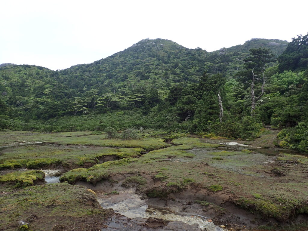 日本百名山の宮之浦岳を登山した時にオリンパスの防水デジタルカメラタフで撮影した花之江河