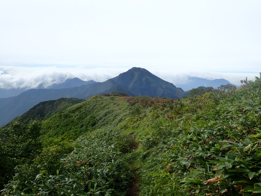 日本百名山の越後駒ヶ岳を登山した時にオリンパスの防水デジタルカメラタフで撮影した越後三山の中ノ岳