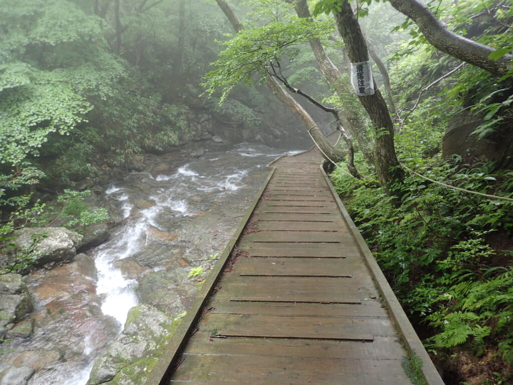 日本百名山の安達太良山を登山した時にオリンパスの防水デジタルカメラタフで撮影したあだたら溪谷自然遊歩道