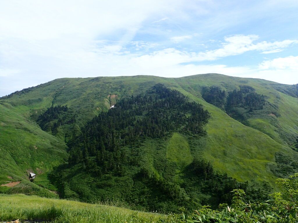 日本百名山の巻機山を登山した時にオリンパスの防水デジタルカメラタフで撮影した草原