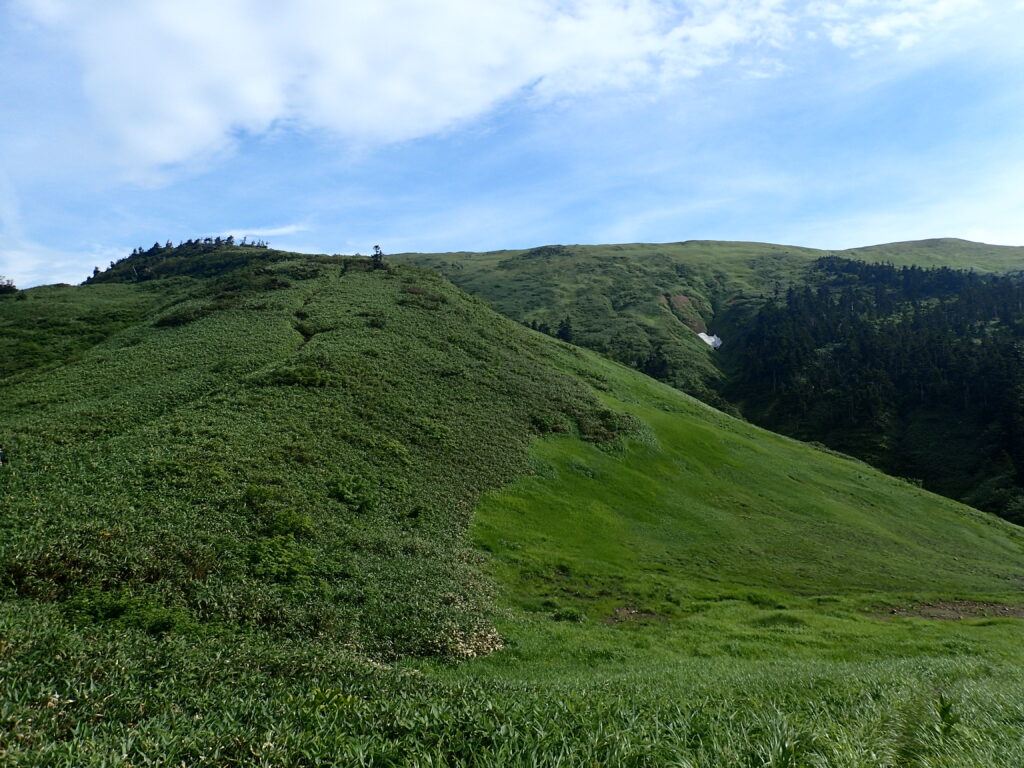 日本百名山の巻機山を登山した時にオリンパスの防水デジタルカメラタフで撮影した緑に覆われた巻機山