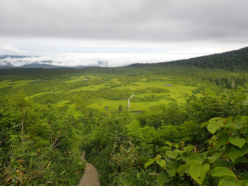 日本百名山の八甲田山を登山した時にオリンパスの防水デジタルカメラタフで撮影した湿地帯と雲海