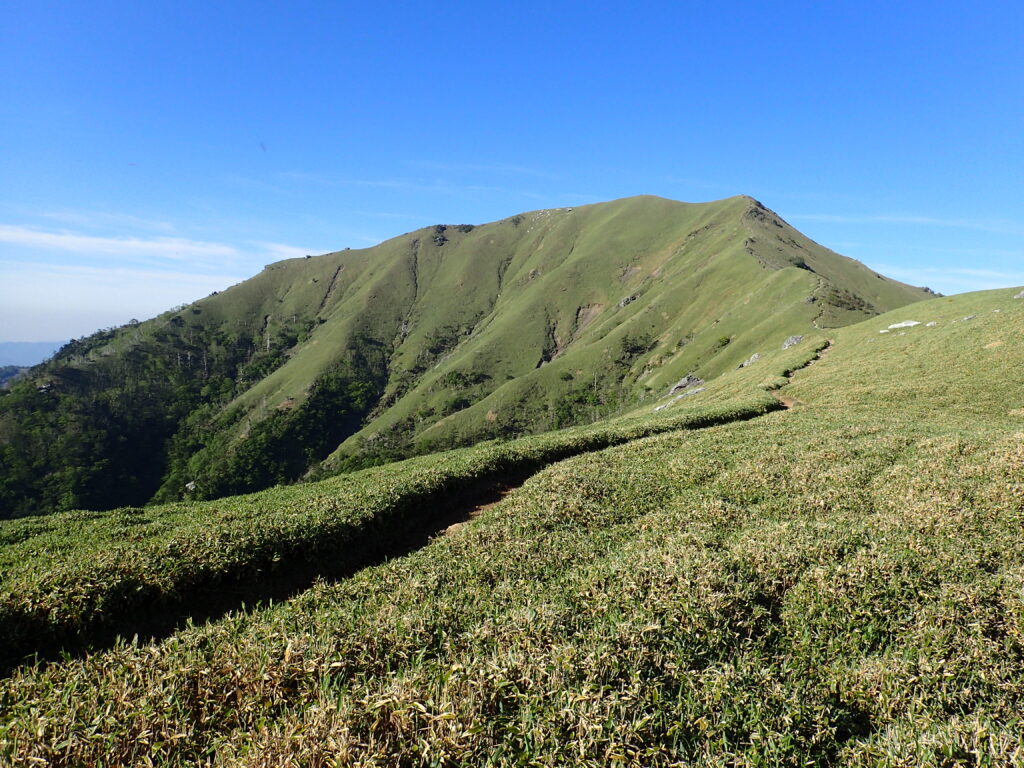 日本百名山の剣山を登山した時にオリンパスの防水デジタルカメラタフで撮影した笹と次郎笈
