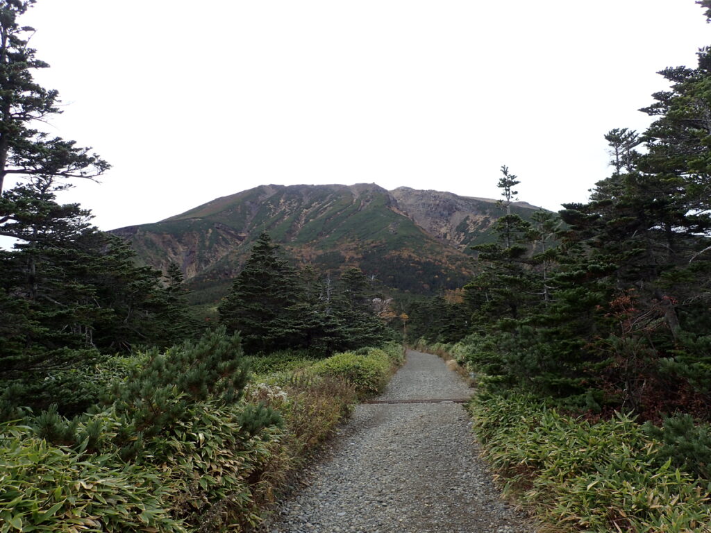 日本百名山の御嶽山を登山した時にオリンパスの防水デジタルカメラタフで撮影した登ってきた御嶽山