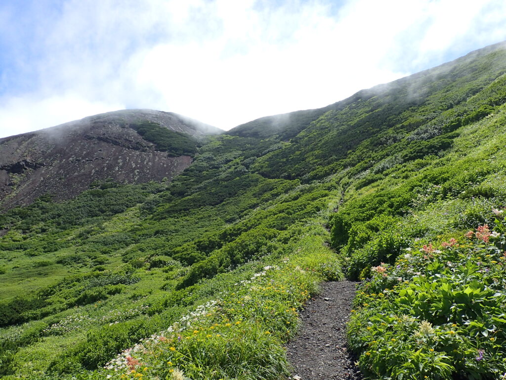 日本百名山の羊蹄山を登山した時にオリンパスの防水デジタルカメラタフで撮影した緑に覆われた登山道