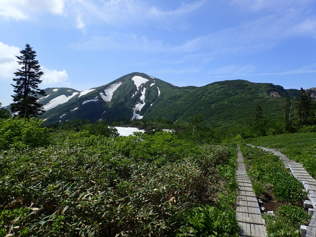 日本百名山の火打山を登山した時にオリンパスの防水デジタルカメラタフで撮影した夏の色(木々の緑)と冬の色（残雪の白色）が織り交ざった火打山