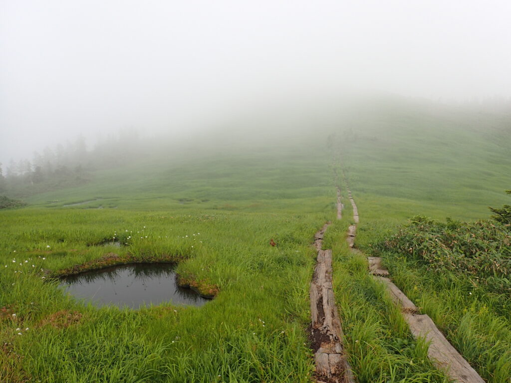 日本百名山の会津駒ヶ岳を登山した時にオリンパスの防水デジタルカメラタフで撮影した霧の中へ続く朽ちた木道