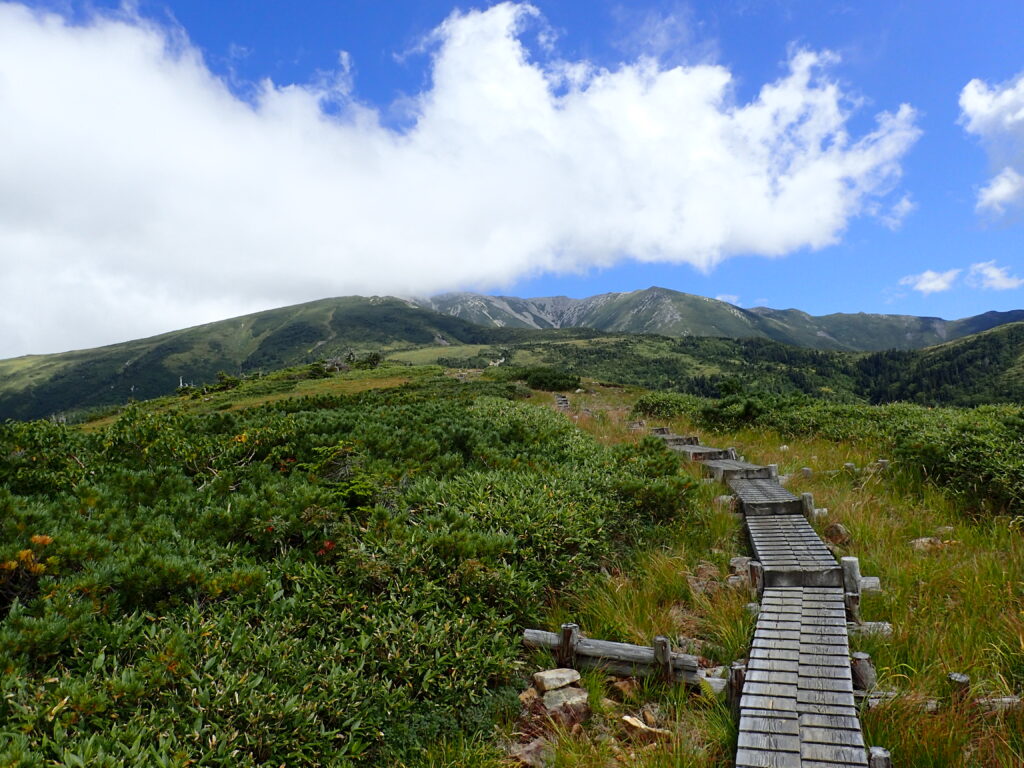 日本百名山の薬師岳を登山した時にオリンパスの防水デジタルカメラタフで撮影した薬師峠から太郎兵衛平へと続く道