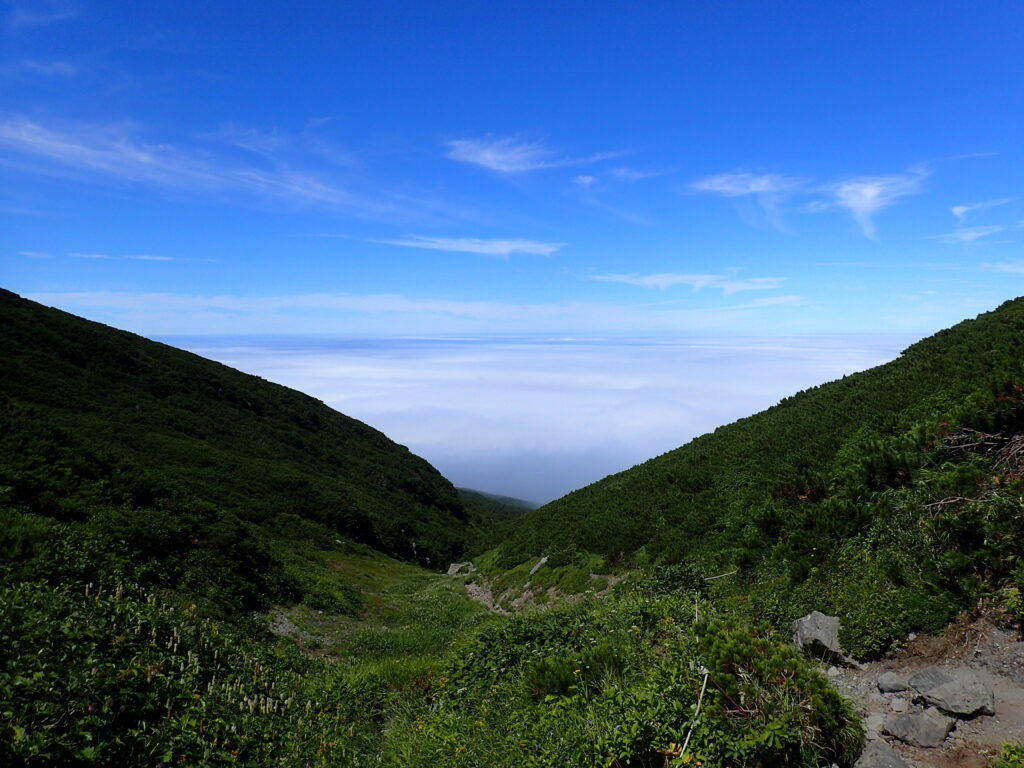 日本百名山で北海道にある羅臼岳を登山した時にオリンパスの防水デジタルカメラタフで撮影した雲海