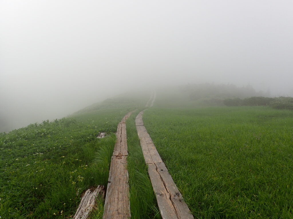 日本百名山の会津駒ヶ岳を登山した時にオリンパスの防水デジタルカメラタフで撮影した木道