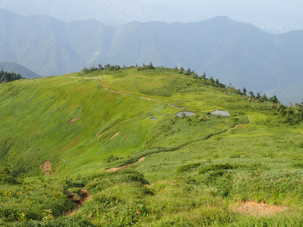 日本百名山の巻機山を登山した時にオリンパスの防水デジタルカメラタフで撮影した天空の草原を行く登山道